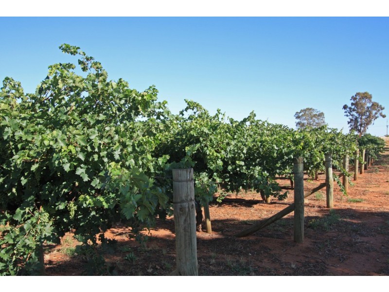 Lot 4 Kingsbury Road, Loxton SA 5333