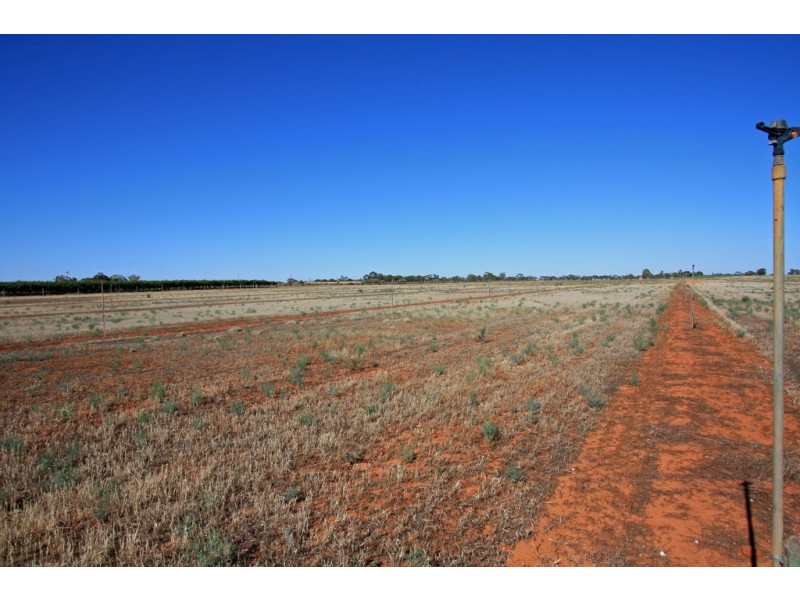 Lot 4 Kingsbury Road, Loxton SA 5333