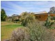 53 Pope Road, Waikerie SA 5330