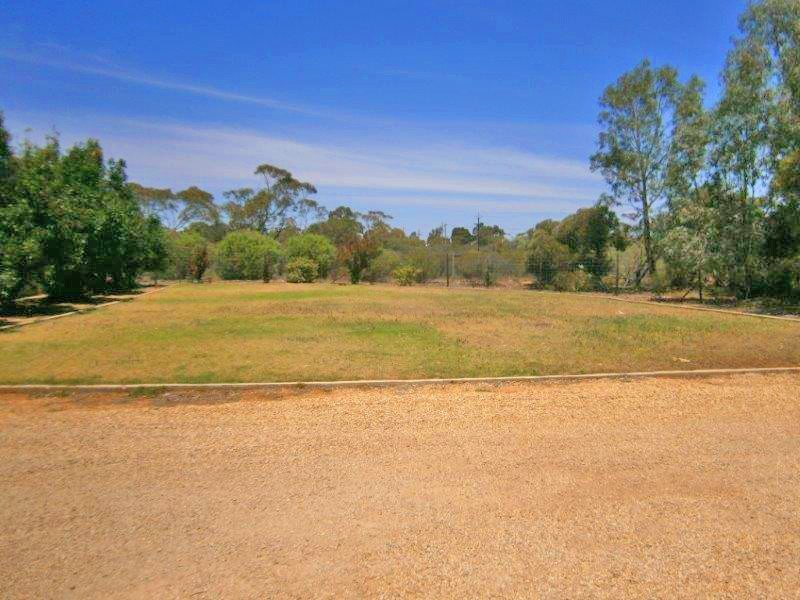 53 Pope Road, Waikerie SA 5330