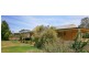 53 Pope Road, Waikerie SA 5330