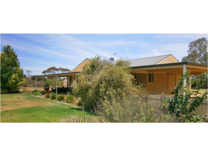 53 Pope Road, Waikerie SA 5330