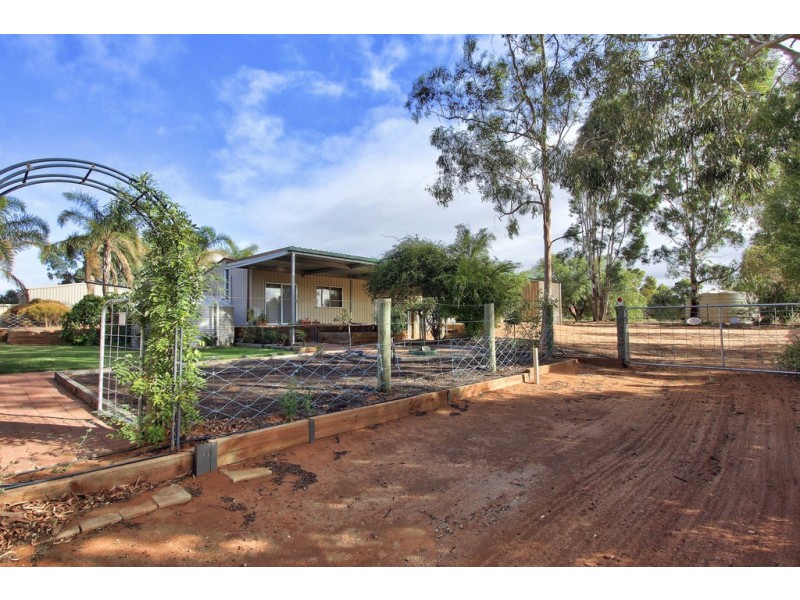 97 Badcoe Road, Loxton SA 5333