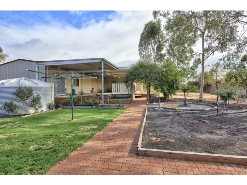 97 Badcoe Road, Loxton SA 5333