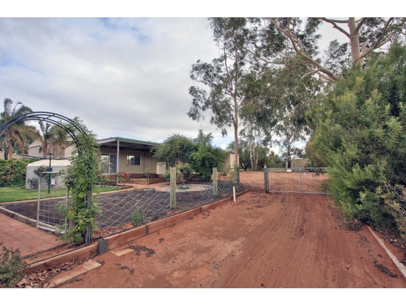 97 Badcoe Road, Loxton SA 5333