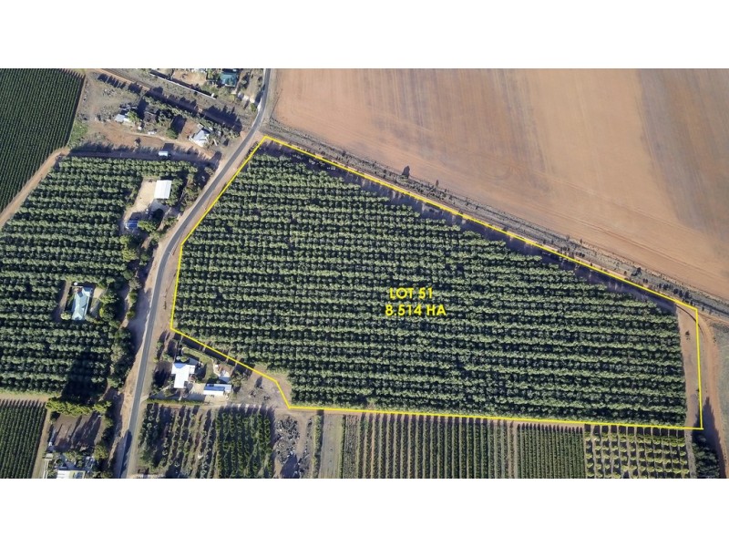 Lots 51 and 52 Newton Road, Loxton SA 5333