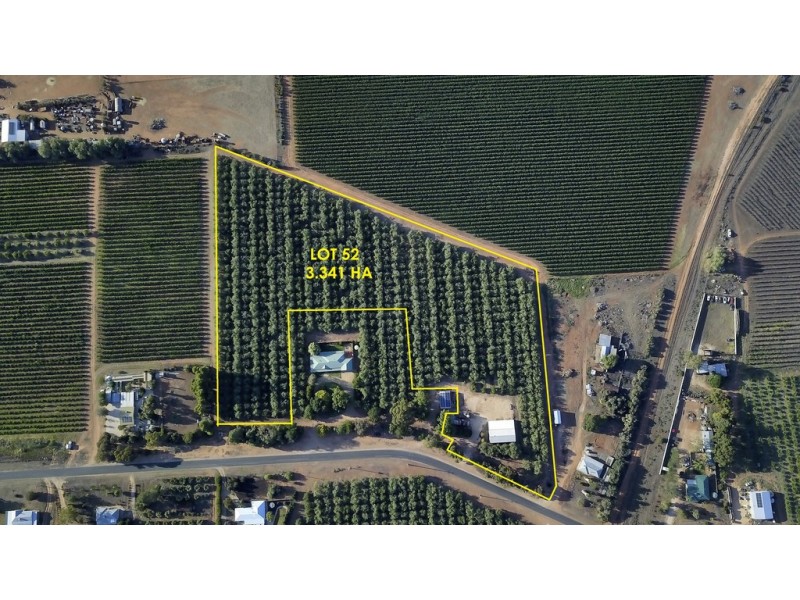 Lots 51 and 52 Newton Road, Loxton SA 5333