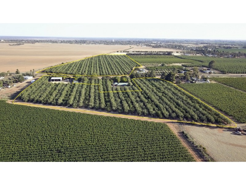 Lots 51 and 52 Newton Road, Loxton SA 5333