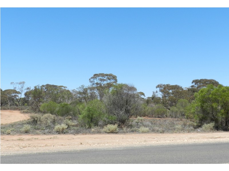 742 Hunt Road, Loveday SA 5345