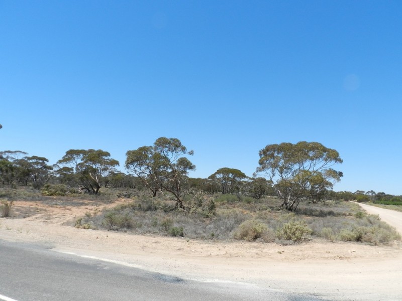 742 Hunt Road, Loveday SA 5345