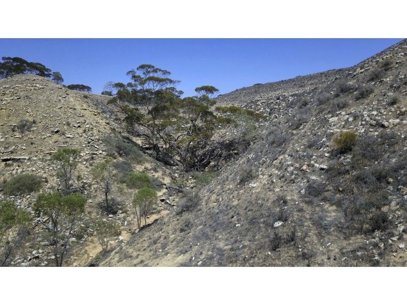 15501 Sturt Highway, Waikerie SA 5330