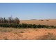 Sect 814 Middleton Road, Loxton SA 5333