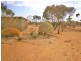 14 Ring Road, Morgan SA 5320