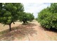33 Riverview Drive, Paringa SA 5340