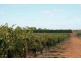 Lot 11 Anderson Road, Loxton SA 5333