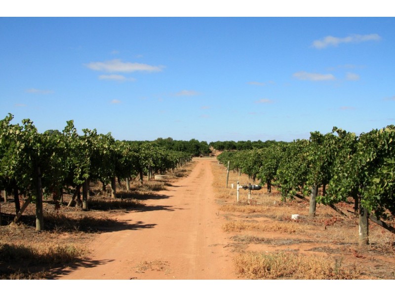 Lot 11 Anderson Road, Loxton SA 5333