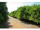 Lot 11 Anderson Road, Loxton SA 5333