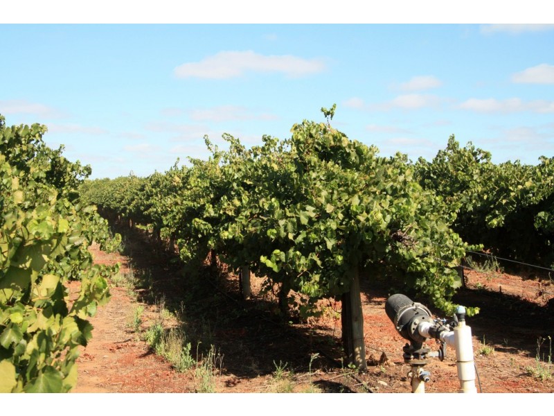 Lot 11 Anderson Road, Loxton SA 5333