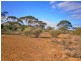 Lot 91 Sturt Highway, Blanchetown SA 5357