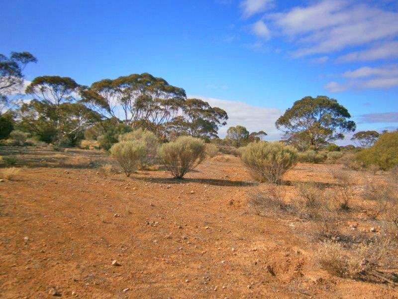 Lot 91 Sturt Highway, Blanchetown SA 5357