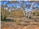 Lot 91 Sturt Highway, Blanchetown SA 5357