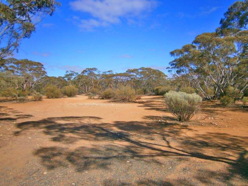 Lot 91 Sturt Highway, Blanchetown SA 5357