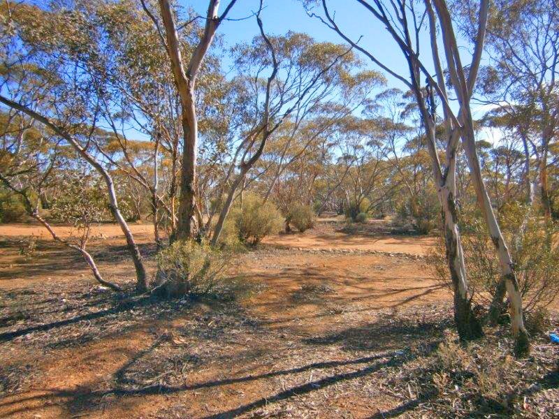Lot 91 Sturt Highway, Blanchetown SA 5357
