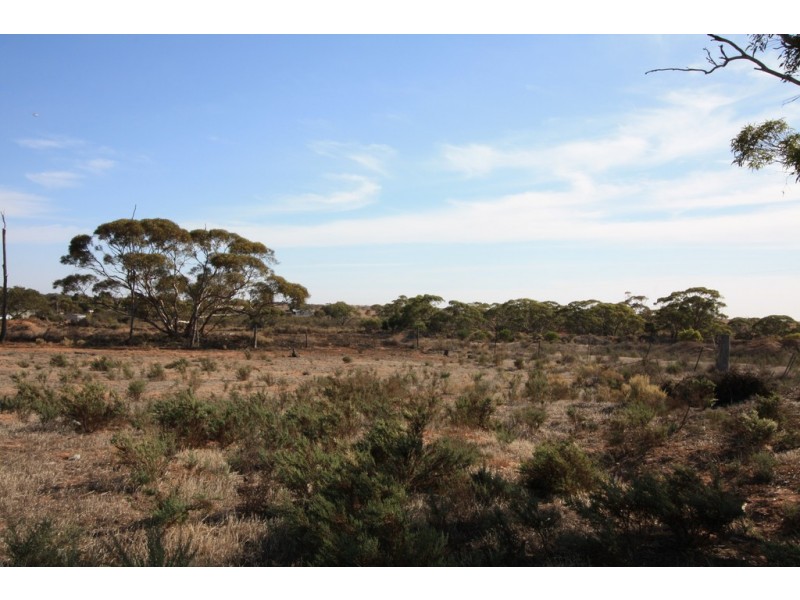 27 Edna Street, Pata SA 5333