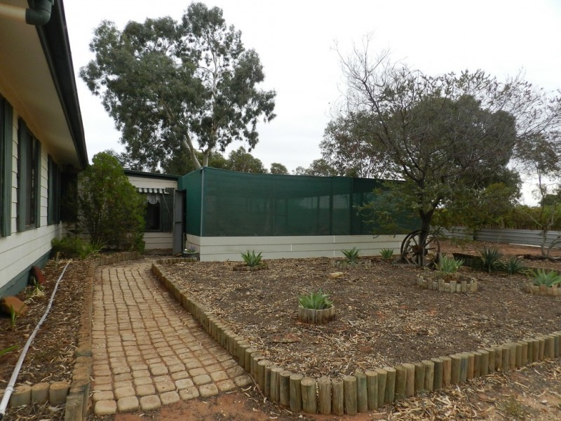 40 Wilkinson Road, Loveday SA 5345