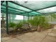 40 Wilkinson Road, Loveday SA 5345