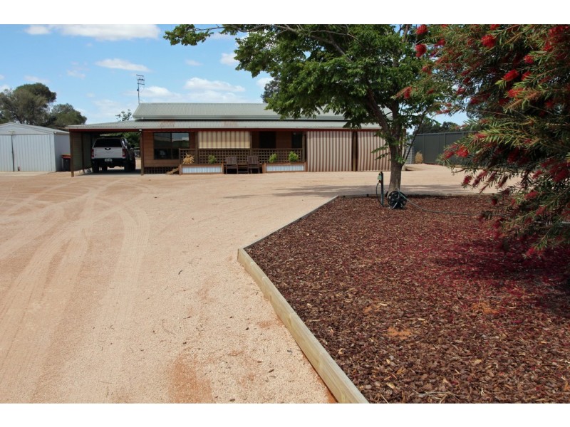 479 Chowilla Street, Renmark SA 5341