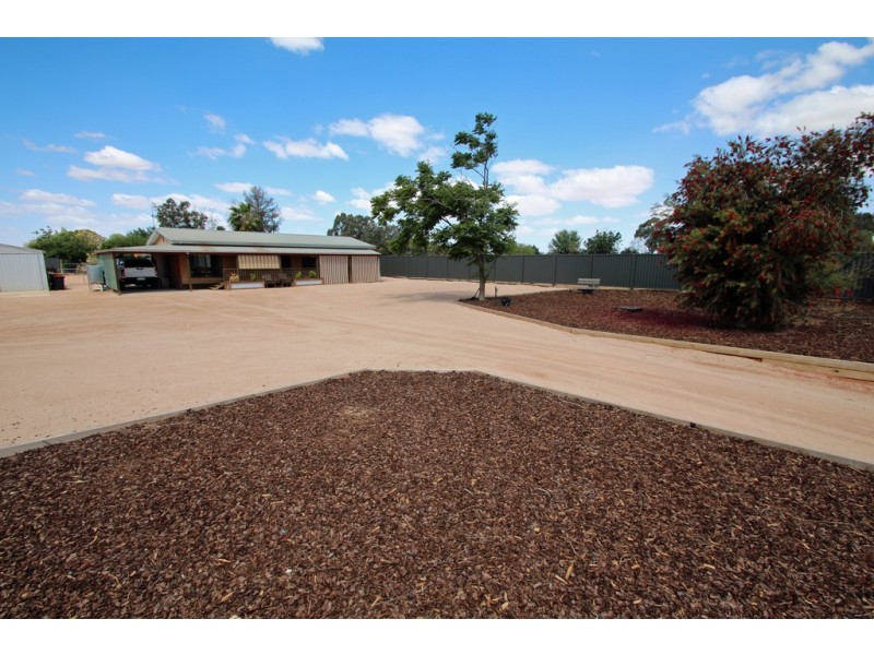 479 Chowilla Street, Renmark SA 5341