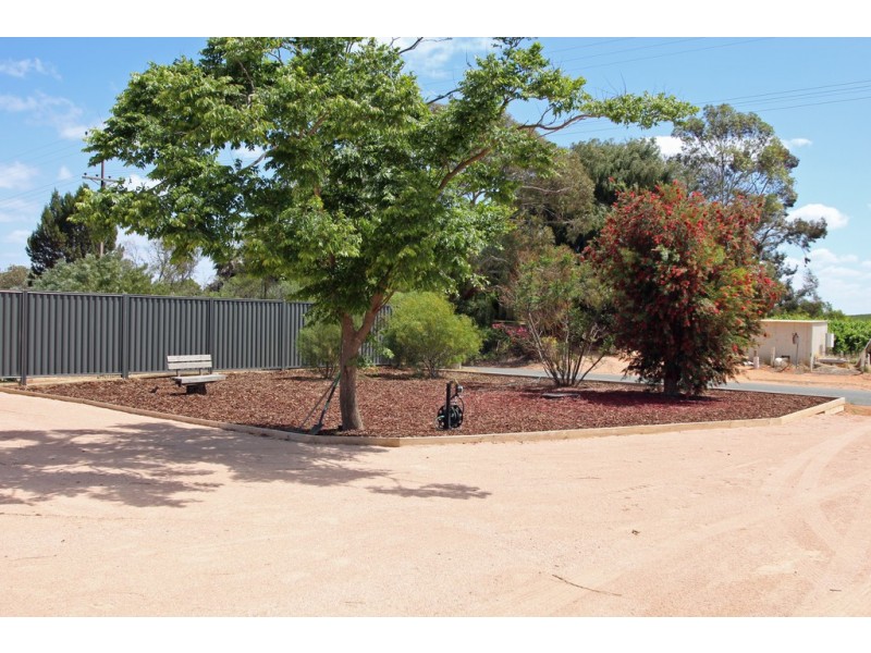 479 Chowilla Street, Renmark SA 5341