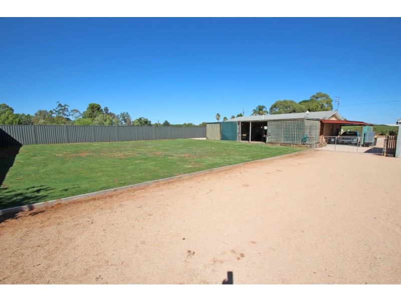 479 Chowilla Street, Renmark SA 5341