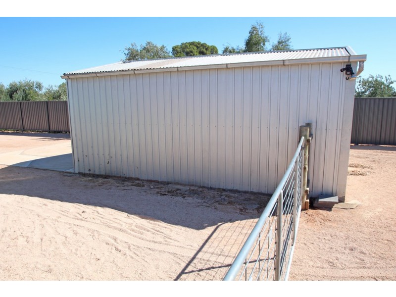 479 Chowilla Street, Renmark SA 5341