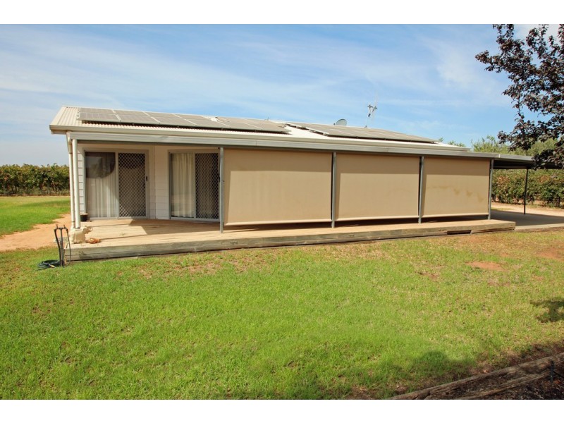 232 Begara Street, Renmark SA 5341