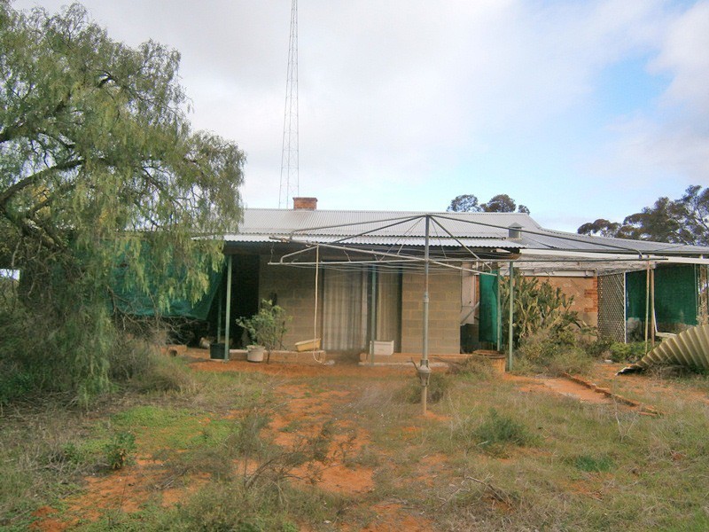 149 Vasey Road, Waikerie SA 5330