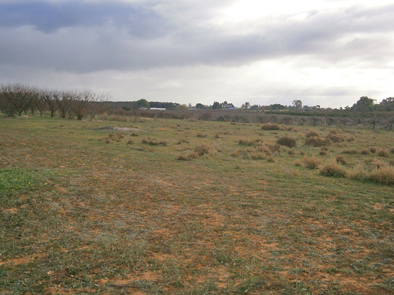 149 Vasey Road, Waikerie SA 5330