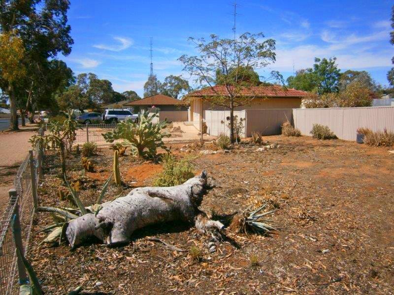 9 Smith Drive, Waikerie SA 5330