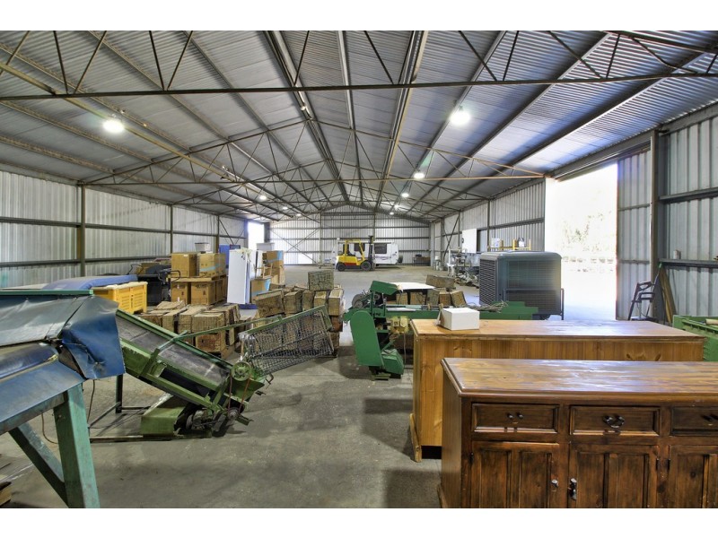 4 Mill Road, Loxton SA 5333