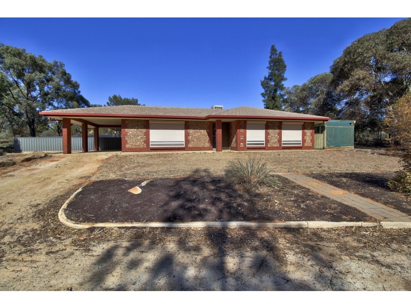 327 Dalziel Road, Barmera SA 5345