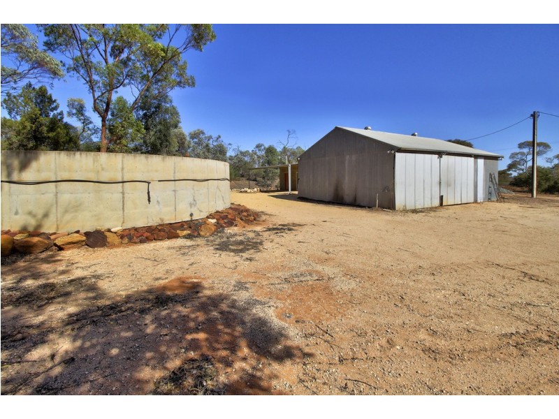 327 Dalziel Road, Barmera SA 5345