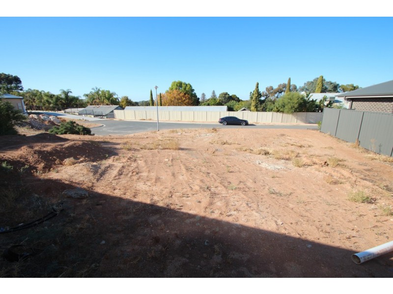 13 and 15 Antony Street, Berri SA 5343