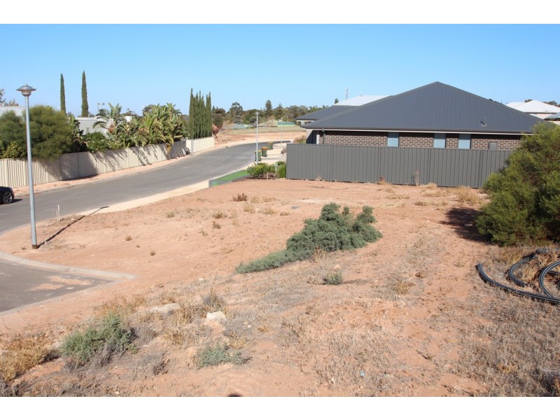 13 and 15 Antony Street, Berri SA 5343