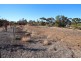 53 MURTHO ROAD, Paringa SA 5340