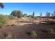 53 MURTHO ROAD, Paringa SA 5340