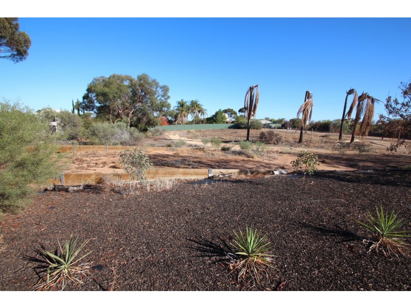 53 MURTHO ROAD, Paringa SA 5340