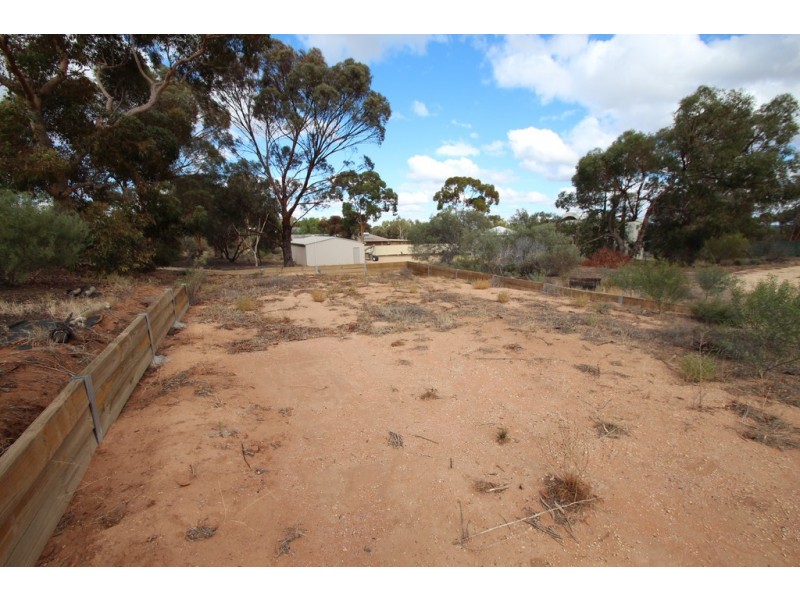 53 MURTHO ROAD, Paringa SA 5340