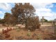 53 MURTHO ROAD, Paringa SA 5340