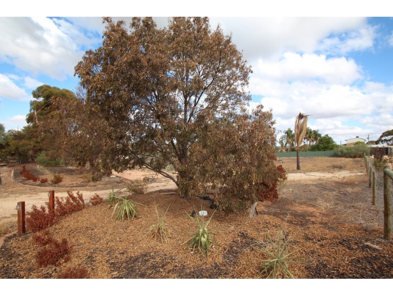 53 MURTHO ROAD, Paringa SA 5340